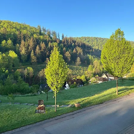 Apartment Heini Schmallenberg